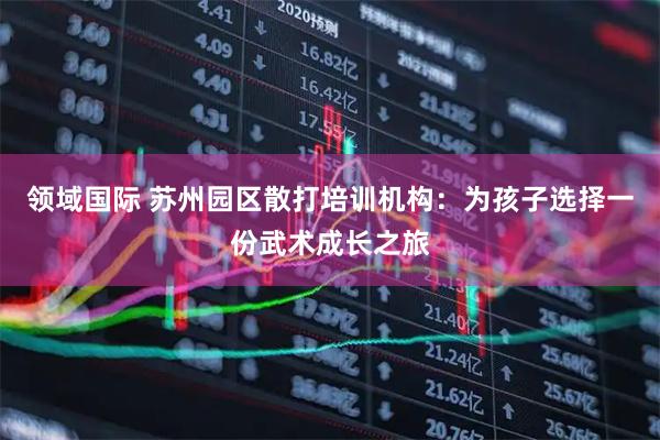 领域国际 苏州园区散打培训机构：为孩子选择一份武术成长之旅