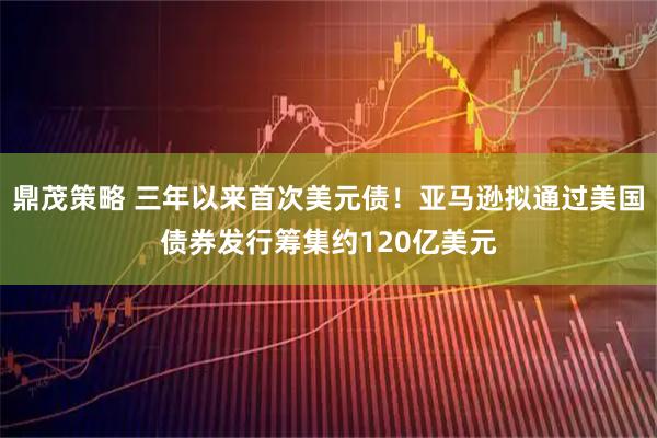 鼎茂策略 三年以来首次美元债！亚马逊拟通过美国债券发行筹集约120亿美元