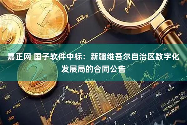 嘉正网 国子软件中标：新疆维吾尔自治区数字化发展局的合同公告